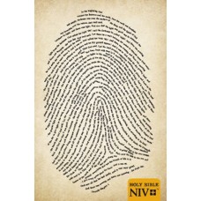 NIV Paperback Bible Identity Parchment Cover (englisch / english)