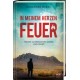 Johannes Hartl: In meinem Herzen Feuer