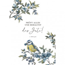 Postkarte "Prüft alles und behaltet das Gute!" (Rebekka Rochlitzer) 