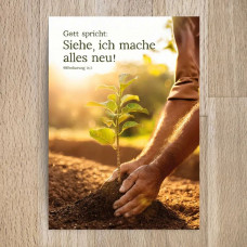 Postkarte "Siehe, ich mache alles neu!" Motiv Baum pflanzen (undarstellbar)