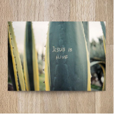 Postkarte Jesus is alive