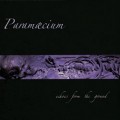 Paramaecium: Echoes from the Ground